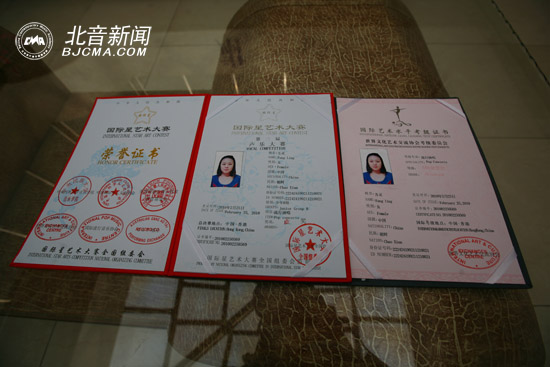 国际星艺术赛证书