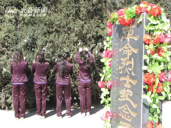 小白花寄哀思