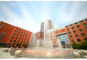 北京市现代音乐学校关于2020级新生报到时间的通知