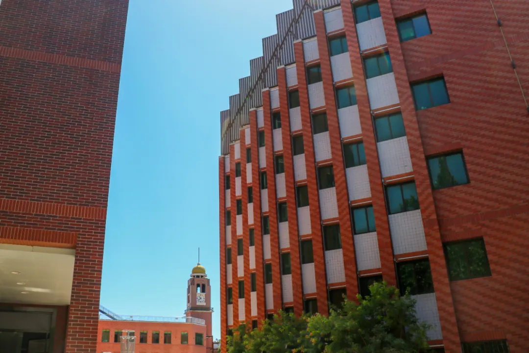 1762235728697034.jpg 640_wx_fmt=jpeg&tp=webp&wxfrom=5&wx_lazy=1 (4).JPG