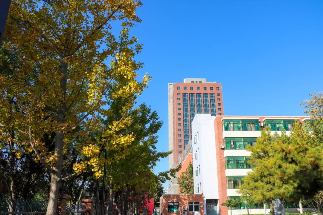 1762235736579965.jpg 640_wx_fmt=jpeg&tp=webp&wxfrom=5&wx_lazy=1 (5).JPG