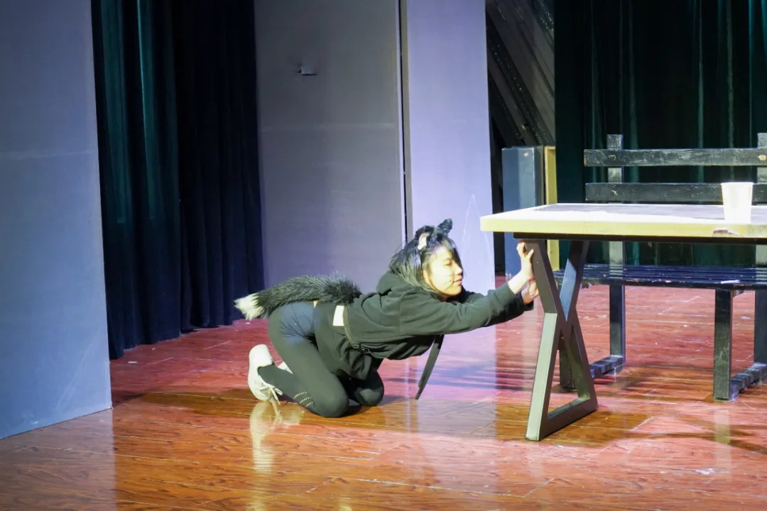 1762309009389757.jpg 640_wx_fmt=jpeg&from=appmsg&tp=webp&wxfrom=5&wx_lazy=1 (13).JPG