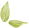 640_wx_fmt=png&from=appmsg&tp=webp&wxfrom=5&wx_lazy=1_看图王.jpg